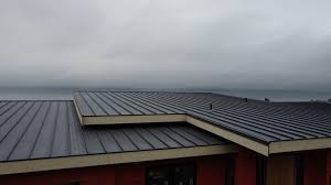 Best Storm Damage Roof Repair  in Grandview, TX